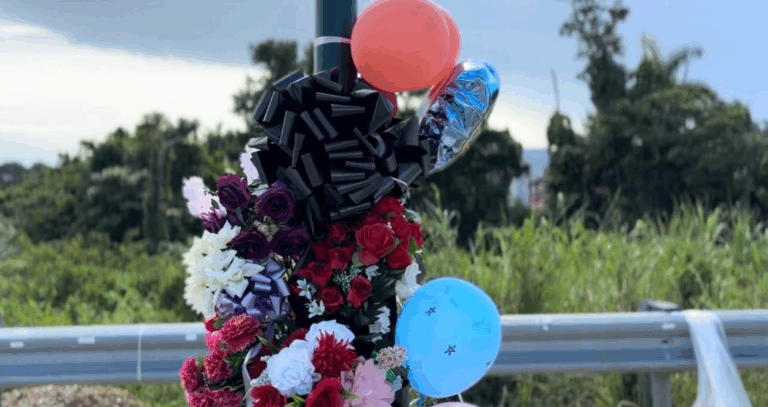 Asesinato sacude Aibonito y enciende alarmas sobre violencia juvenil en Puerto Rico 